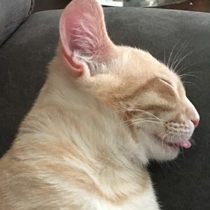 Meet your Posher, Aileen